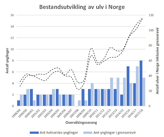 Rovdata. Figuren viser utviklingen i antall individer og valpekull i Norge og grenserevir i perioden fra 1998/99-2017/18